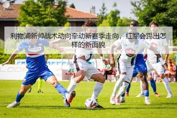 img_1781091251204_26_2_449.jpg